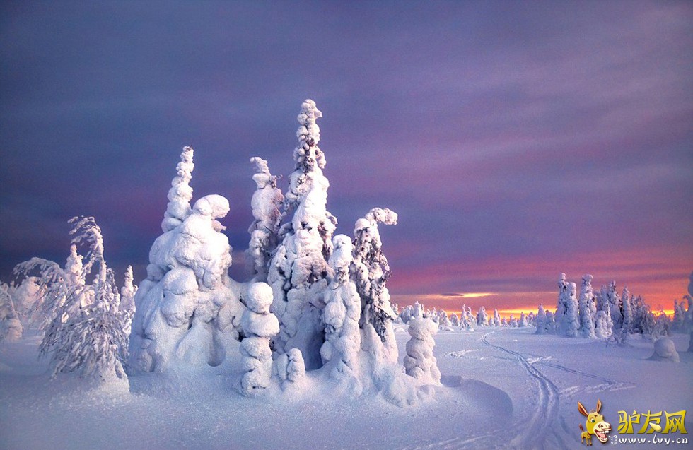 ��Ӱʦл���ǡ�������ڶ��������㵽��ñ�ѩ������