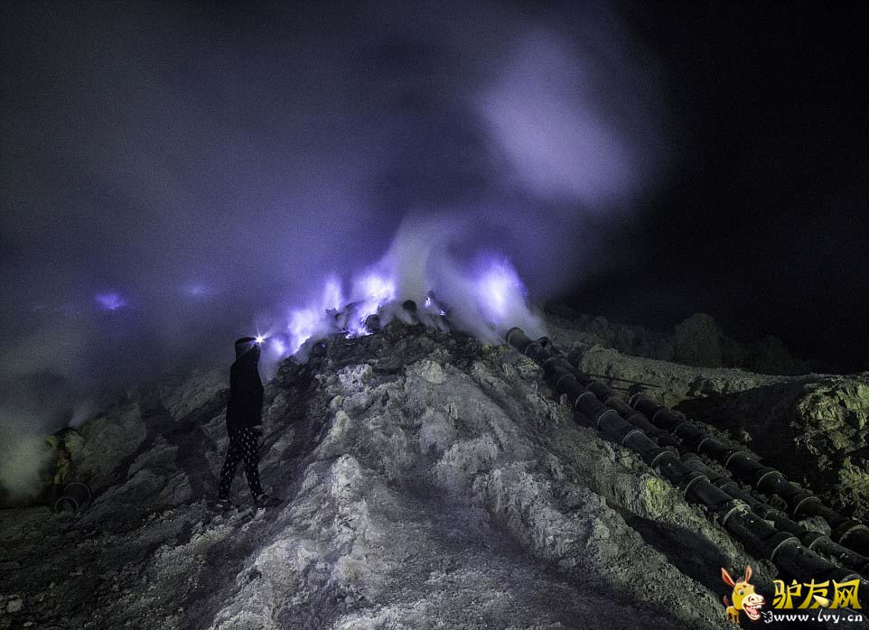 �����ɽɢ�������µ���ɫ��â������������ƻõ�Ӱ�еĳ�����