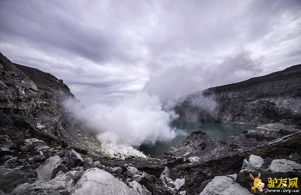 �����ɽɢ�������µ���ɫ��â������������ƻõ�Ӱ�еĳ�����