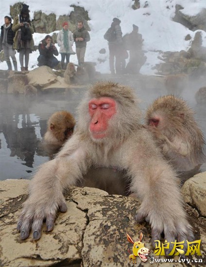 ��Ұ��ɽ֮��ġ�������Ұ�﹫Է�����ձ�������������Ȫ��