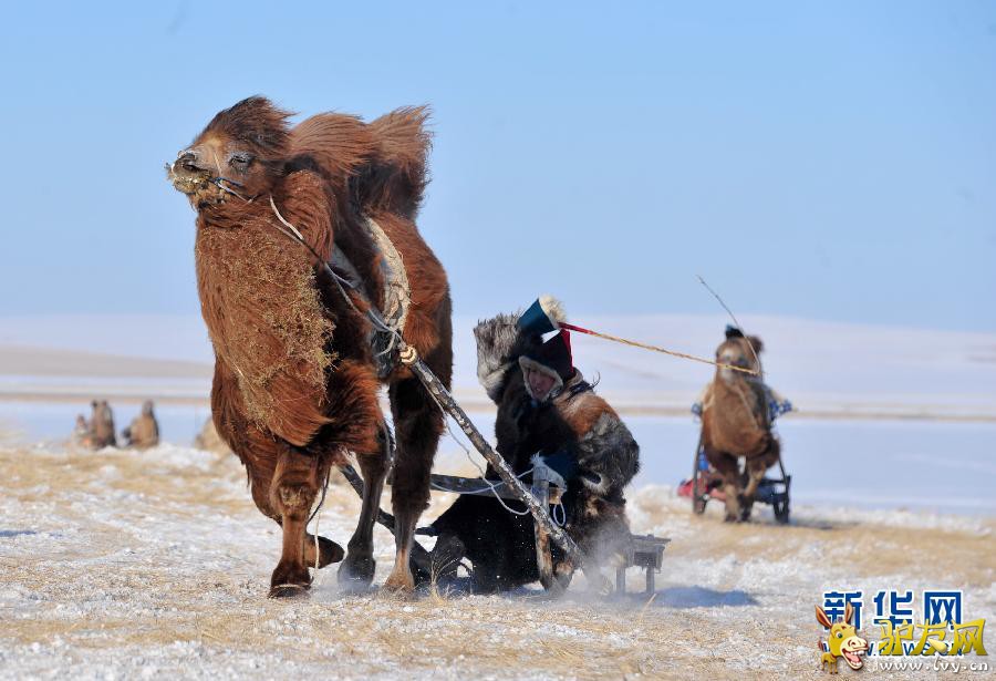 ���ױ�����ԭ�ϵı�ѩ�Ǵ�Ľ