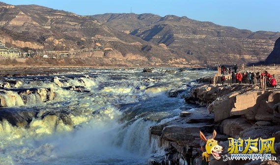 �ο����ڰ��Ϲ��ͻƺ�ˮ��������Ⱥ��׳�۳�����¿�������������