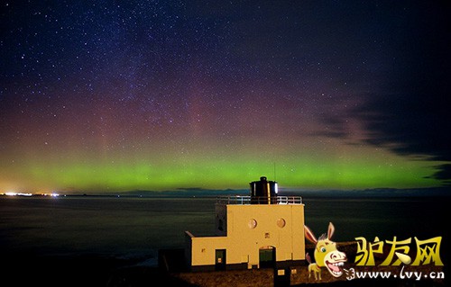 ��Ӣ�����ֵ��������������ۿ��������⡣ͼ������Ӱʦ��ŵɭ�������౤����ץ�ĵ��ļ���������