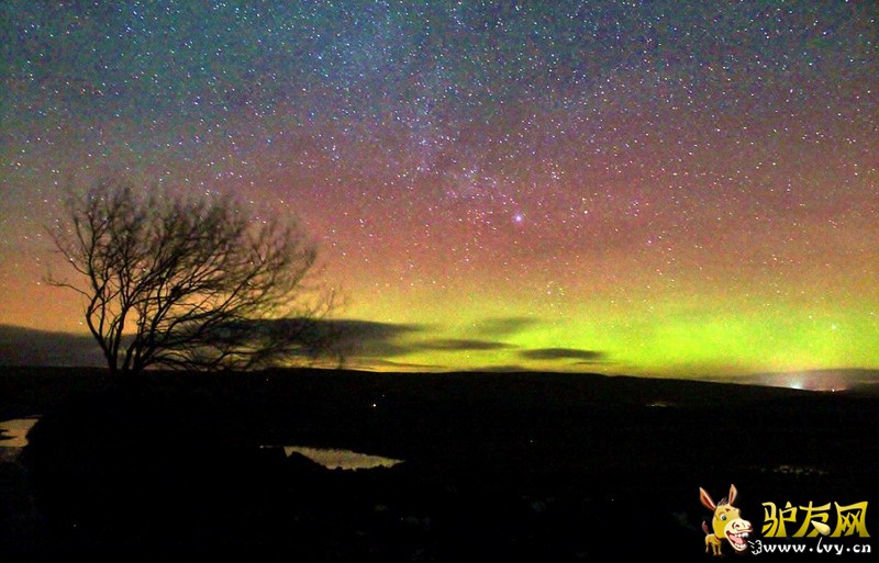 ��Ӣ�����ֵ��������������ۿ��������⡣ͼ������Ӱʦ��ŵɭ�������౤����ץ�ĵ��ļ���������