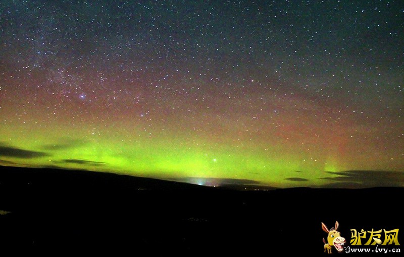 ��Ӣ�����ֵ��������������ۿ��������⡣ͼ������Ӱʦ��ŵɭ�������౤����ץ�ĵ��ļ���������