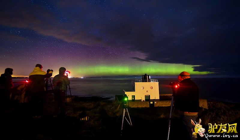 ��Ӣ�����ֵ��������������ۿ��������⡣ͼ������Ӱʦ��ŵɭ�������౤����ץ�ĵ��ļ���������