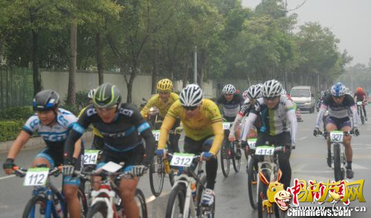 ͼΪ���г�ѡ���Ƿ���һ�� �Ϋh ��