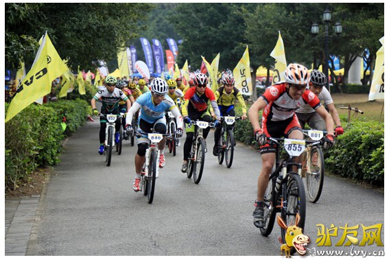 2014�����ձ����������ɽɽ�����г���ս��