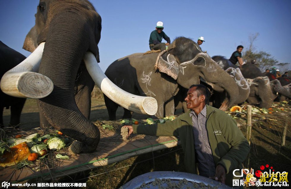 �Ჴ�����ʴ���� ��������ʢ��(������ͼ)