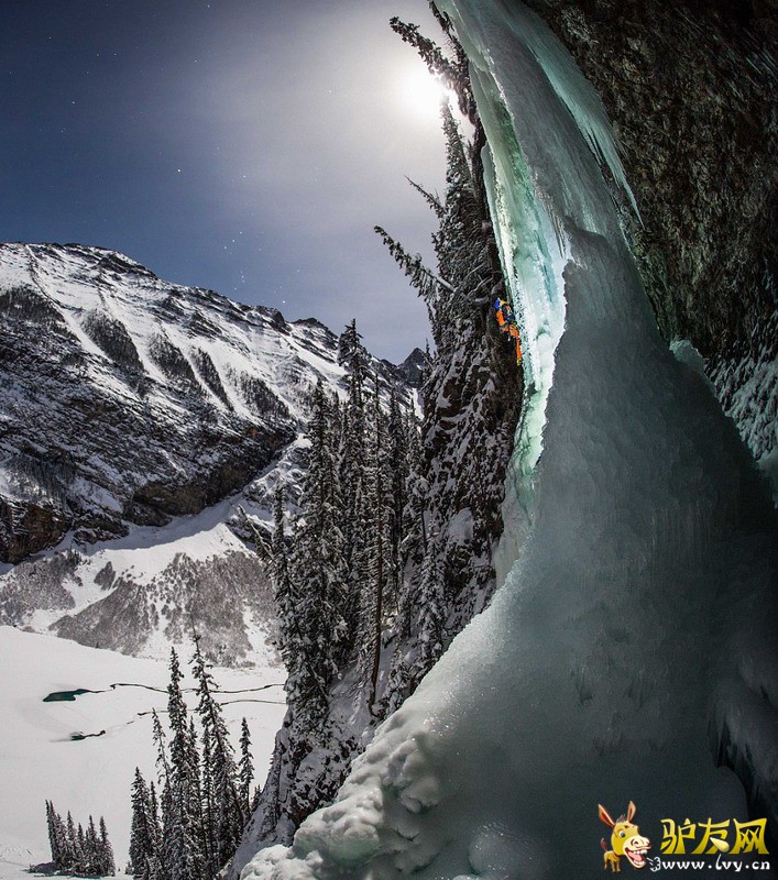 �ڷ�����˸������ҹ���У����ô���Ӱʦ��ʿ�����ڹ��ҹ�԰��ץ���ʵ������������ٲ��ĳ�����