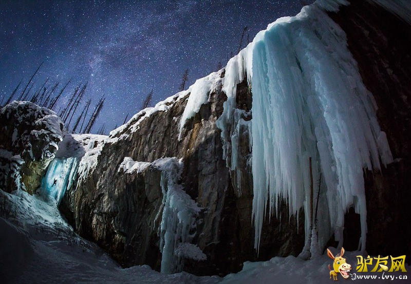 �ڷ�����˸������ҹ���У����ô���Ӱʦ��ʿ�����ڹ��ҹ�԰��ץ���ʵ������������ٲ��ĳ�����