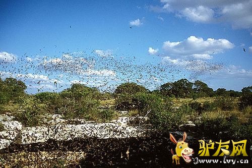 3. �����ÿ���˹�� ħ�����ҿ�(Devil