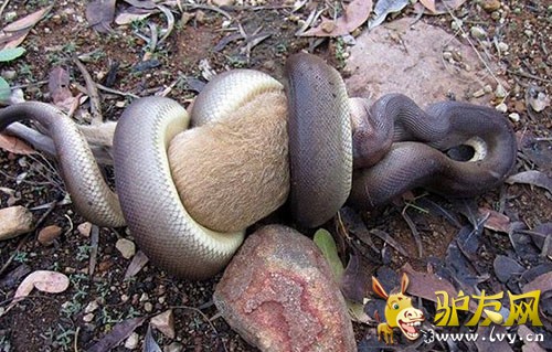 һ������������ȥ�Ĵ��������ס��������ͷ����