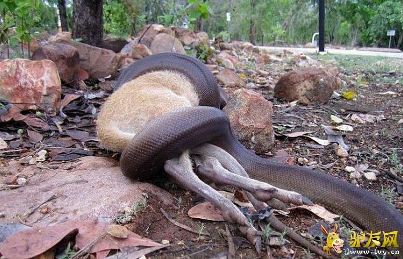 һ������������ȥ�Ĵ��������ס��������ͷ������ҳ��ͼ