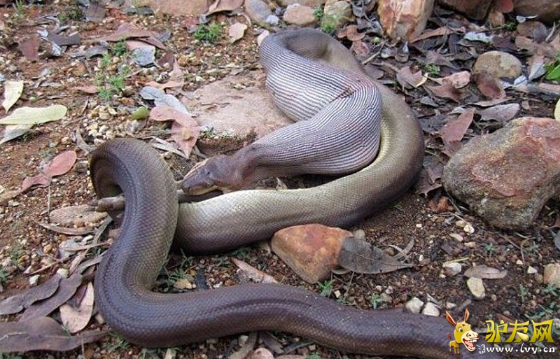 һ������������ȥ�Ĵ��������ס��������ͷ������ҳ��ͼ