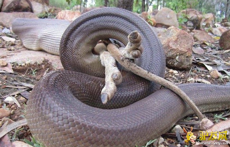 һ������������ȥ�Ĵ��������ס��������ͷ������ҳ��ͼ