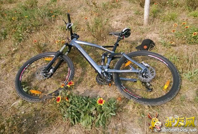 ������MARMOTƷ�ƽ��С���������г�������Ϊ?