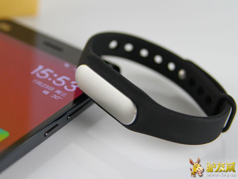 ������MARMOTƷ�ƽ��С���������г�������Ϊ?