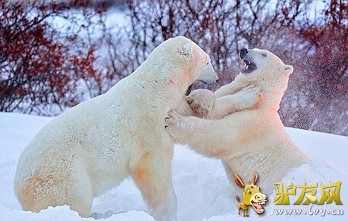 �ڼ��ô����ѷ�壬��ͷ������Ϊ������ش����֡�