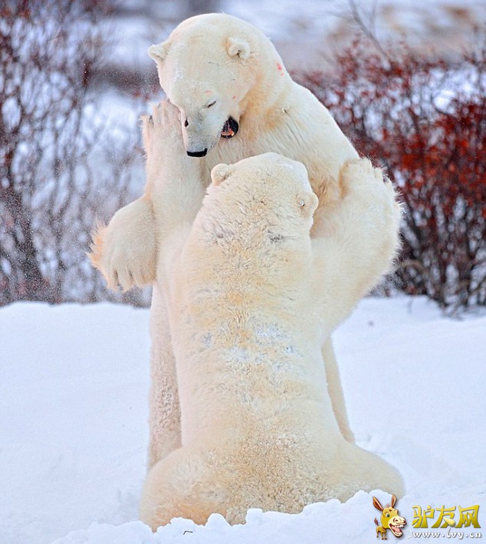 �ڼ��ô����ѷ�壬��ͷ������Ϊ������ش����֡���ҳ��ͼ