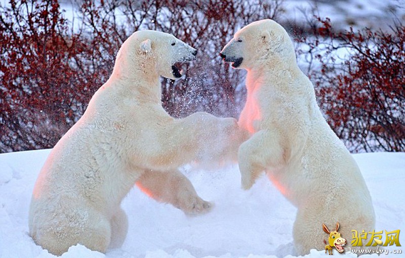 �ڼ��ô����ѷ�壬��ͷ������Ϊ������ش����֡���ҳ��ͼ