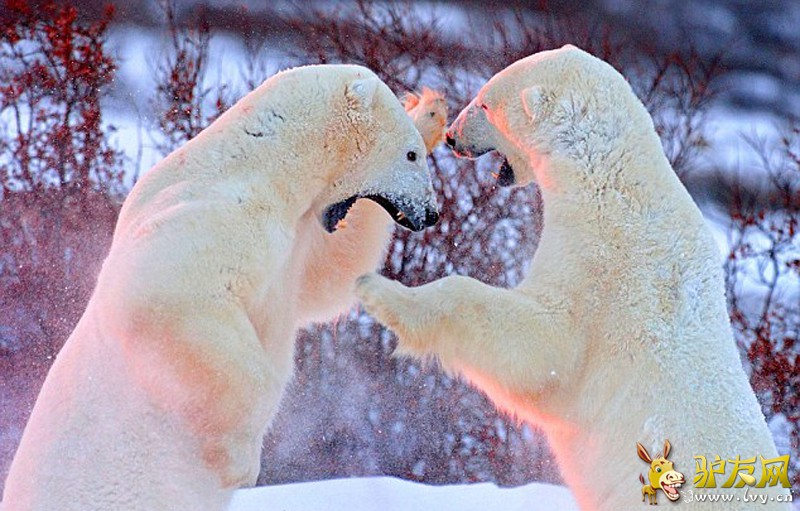 �ڼ��ô����ѷ�壬��ͷ������Ϊ������ش����֡���ҳ��ͼ