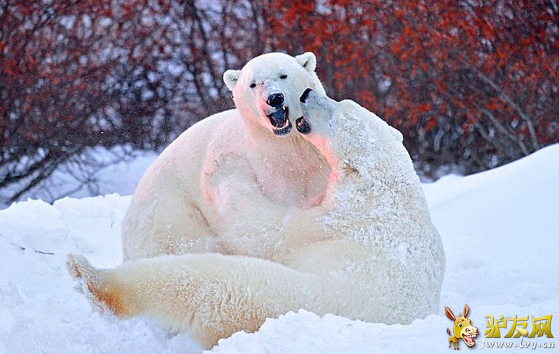 �ڼ��ô����ѷ�壬��ͷ������Ϊ������ش����֡���ҳ��ͼ