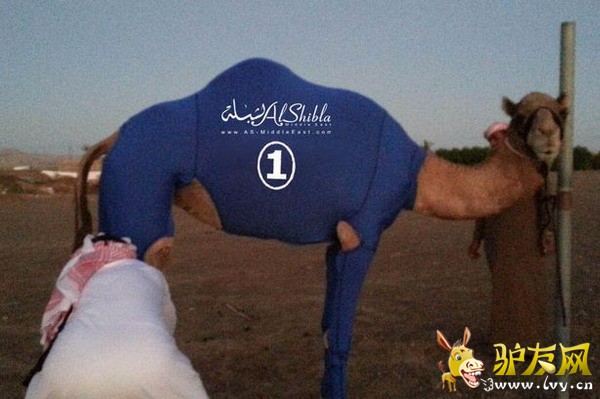 �ж��̼�Ϊ���մ��������ף��ƿ������ܸ��졣