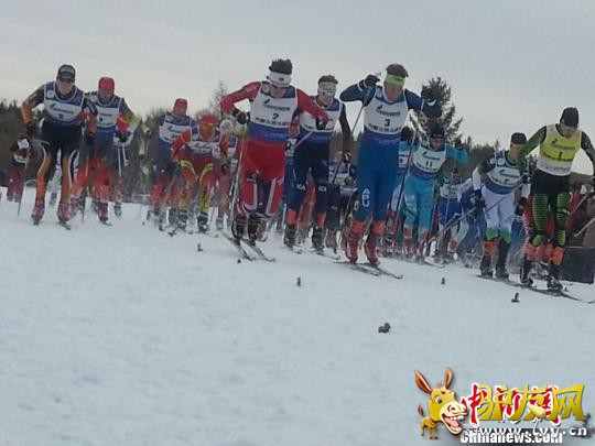 ͼΪ������ʼǰ���ڽ��е����ձ��ݡ� ��ľ���� ��