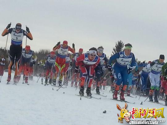 ͼΪ������ʼǰ���ڽ��е����ձ��ݡ� ��ľ���� ��