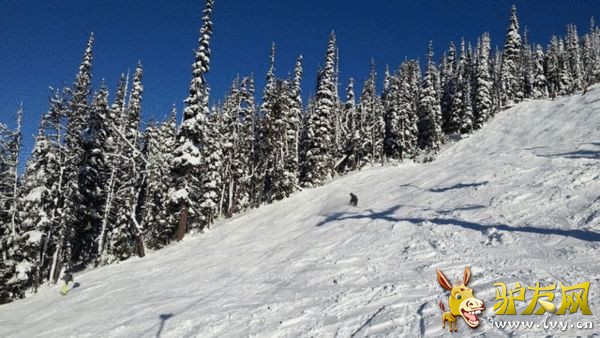  ȫ����Ȼѩ�����ڰ׷۰�������˵����Ҳ����