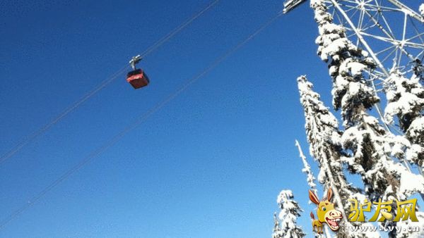 ���ô��ѩ������˸ߴ�