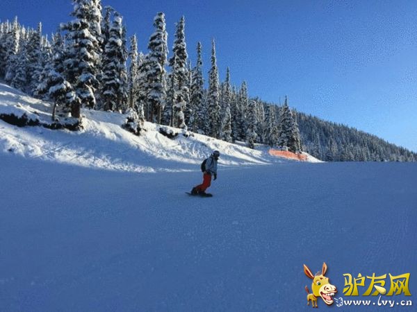 �����ڻ�����