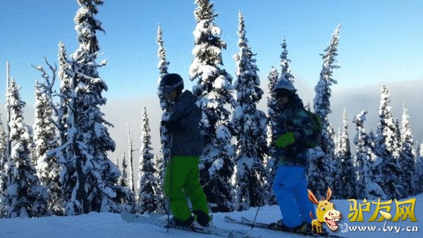 ɽ�¾��������Һ��Ұѩ��