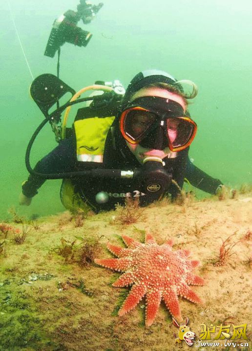 45���ŮǱˮԱDawn Watson��Ӣ����ŵ���˿�����Ǳˮ��300�״�ʱ�������������������ɭ�֡��������Ϻ����ų���8�׵�������