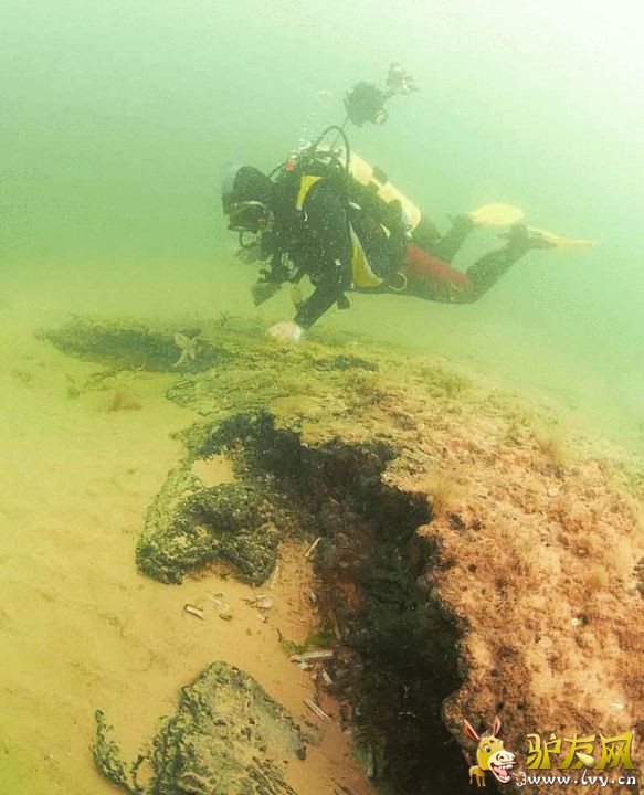 ר�ҳƣ���Ƭɭ�ֵĳ�������Ϊ���ױ����ڻ�����ƽ��������120�ס��ϸ�����ı�������������ǵ�������ֵ�ԭ��֮һ��