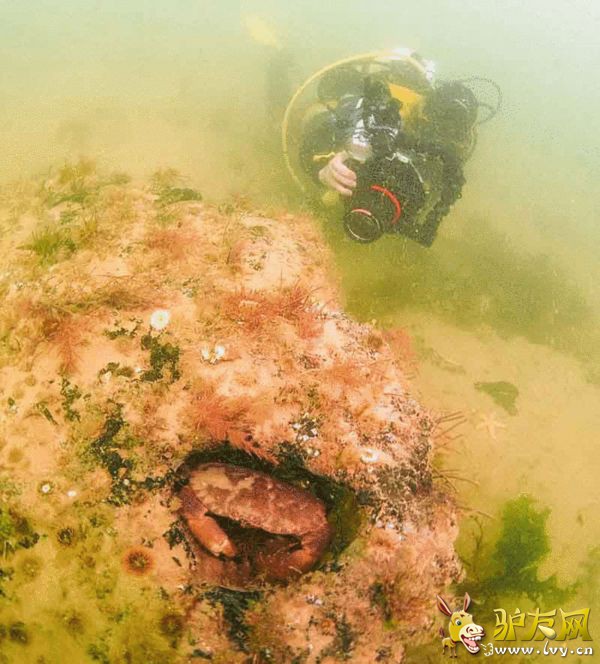 Ŀǰ��ר�������ڶ���Щ��ľ���з���̼����ⶨ�����ڵõ�������������ľ�����Ϣ��