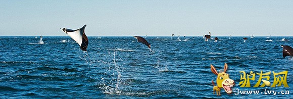 ��ǧ����