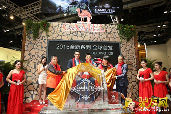 CAMEL����ʱ�л���ϵ����Ʒ����������˹ϵ�н�Ļ��ʽ