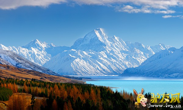 ����ʱ�ڣ����������ɽ���ҹ�԰չ����һ�����˵Ļ�������ɫ����Ҷ��֦ͷҡҷ����������ʯ����̵��տ������Ͱ�ѩ�������ϰ�����˹ɽ�γ������ĶԱȡ�