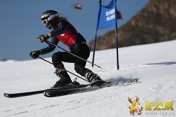 1��29��30�գ��׶���У��ѧ����ѩ�����ڱ���ʯ������ѩ�����С������ɱ����д�ѧ������Э��ٰ����ɫ����һֱ��������ѧ��ϲ������2007���������Ѿٰ��˾Ž죬Ϊ�׶���У��ѩ�Ļ����������˻������ƶ����á�