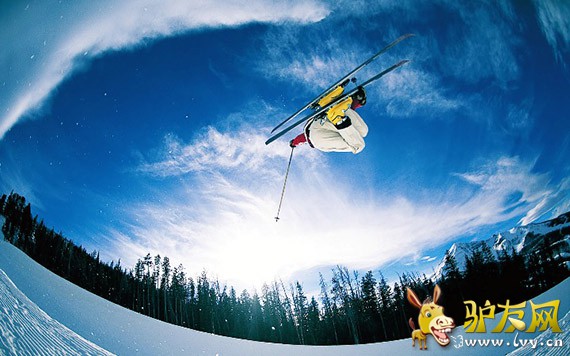 ��ѩ����ͼ