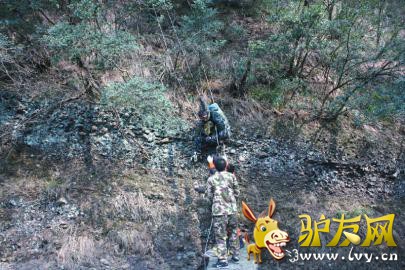 ����¿�ѻ����ɽ��