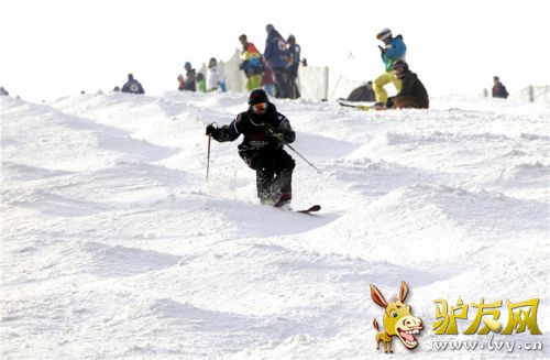 ���ô�ڰ˽���ɽҵ��è����ѩ����������ھ�