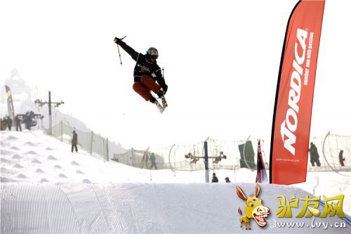 ���ô�ڰ˽���ɽҵ��è����ѩ����ѡ����Ծ