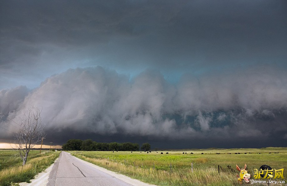 ����˹�յ�ð������Σ�գ��������������ȼ�������Ƶ���ĵط�׷��籩��ץ��˫�����׳����ͼ��