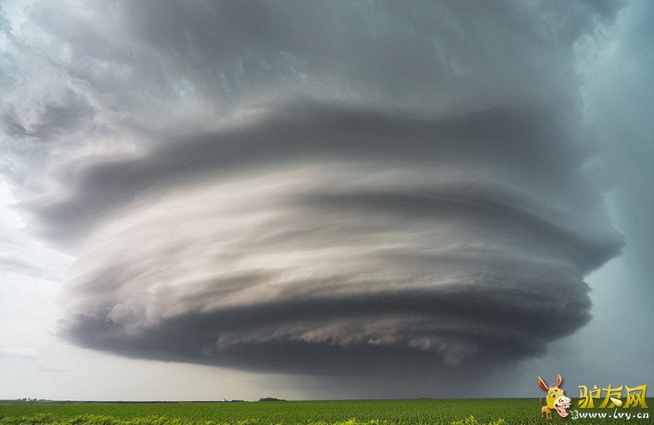 ����˹�յ�ð������Σ�գ��������������ȼ�������Ƶ���ĵط�׷��籩��ץ��˫�����׳����ͼ��