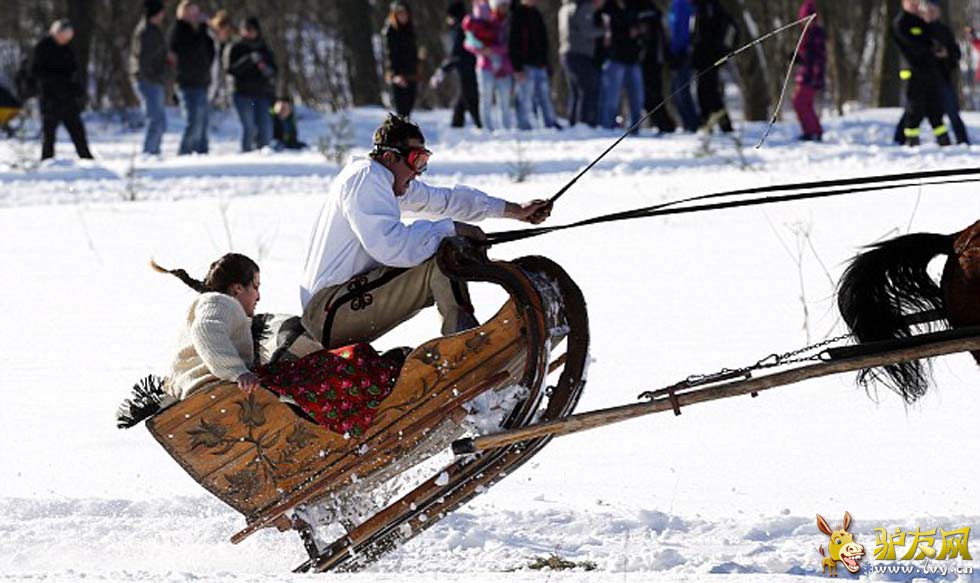 ������ѩ�������У�һƥ��������2�������߿񱼡�