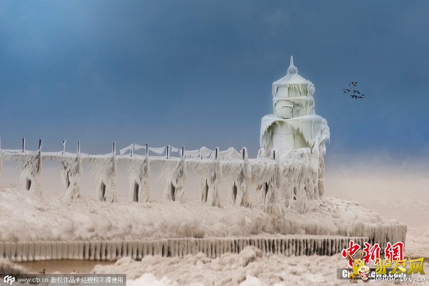 2015��1��22����Ϣ��������Ъ���ݣ�1�¿�ʼ�����������Ϻ��ĺ��������ܶ����籩��Ϯ������ɫ�ĵ����������ǣ������Ĵ����̣�ˮ˲�����γɼ���ı�׶���Լ���ʽ����״����������̱�����ɫͯ�����硣CFP�Ӿ��й�