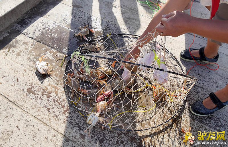 ���ӵ���Ӫ�ؿ�ʼ�齨����